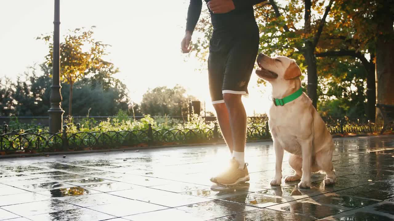 shot of young black man waking with his white labrador dog through