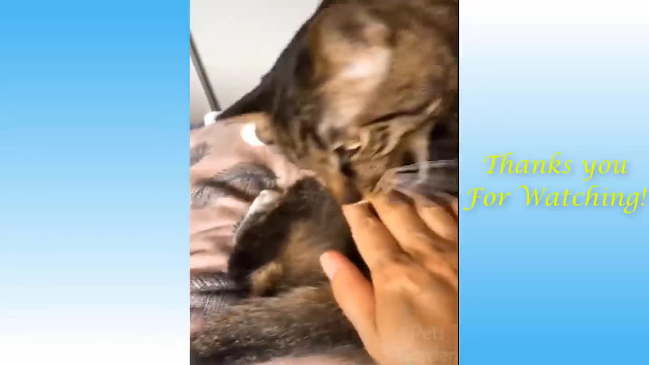 FUNNY ANIMALS VIDEO (PART - 2) 1080P