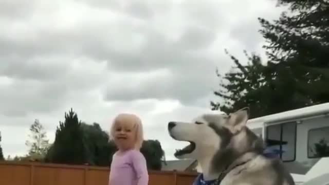 HUSKY SING WITH ME