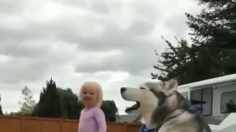 HUSKY SING WITH ME