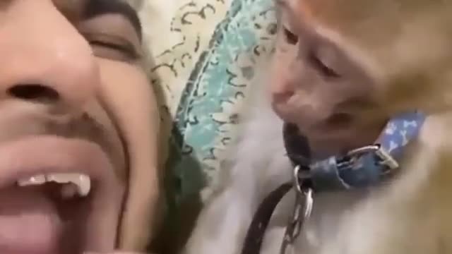Why did the monkey slap?