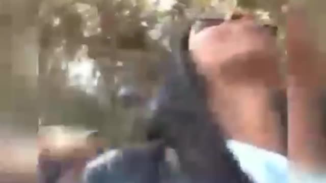 Fun guy 😂funny videos