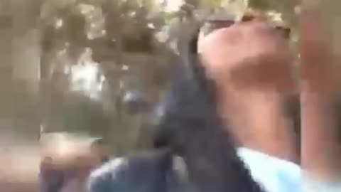 Fun guy 😂funny videos