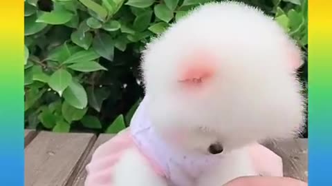 cute this