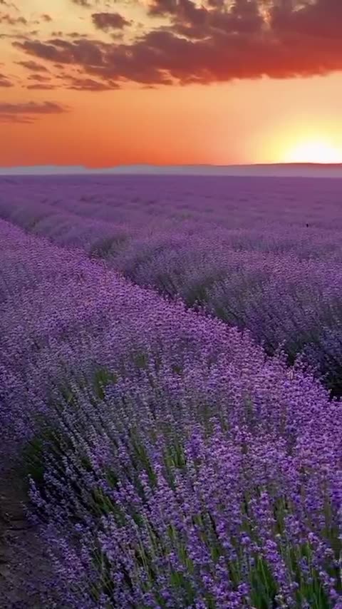 Beautiful morning everyone