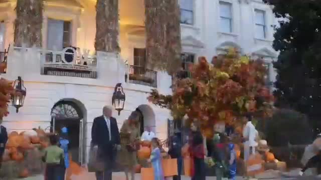 Halloween with 45! 🎃🧙‍♀️🪄🧹