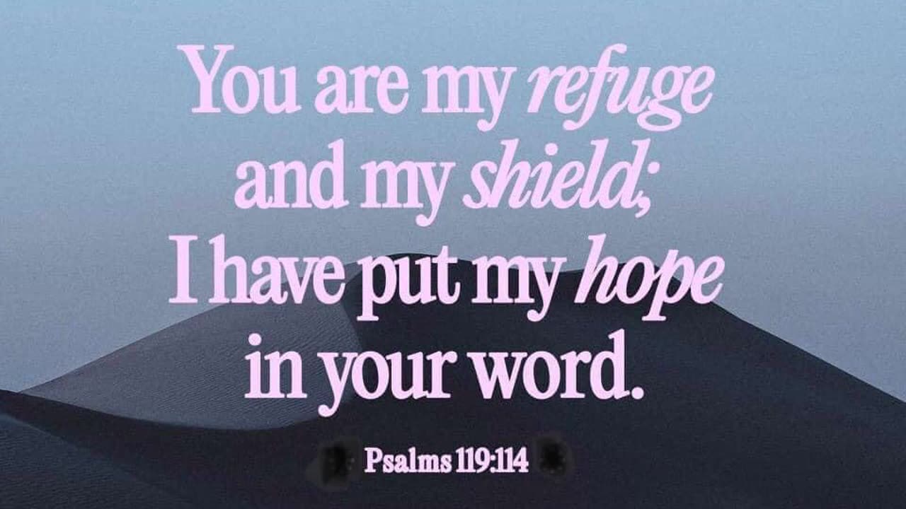 Psalm 119:114