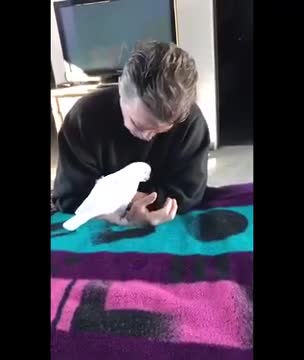 Cockatoo Turbo funniest clips #6