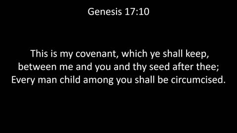 KJV Bible Genesis Chapter 17