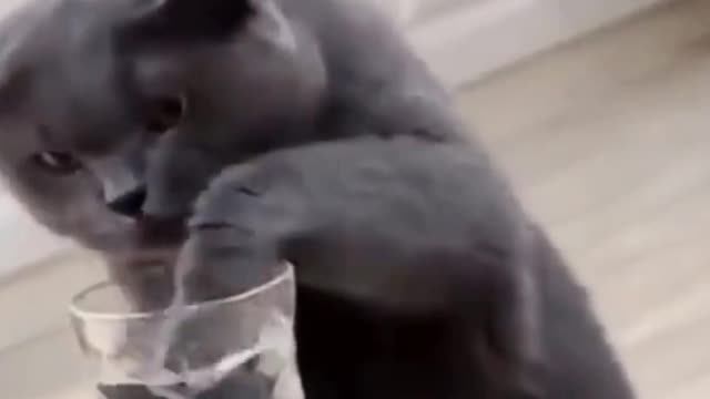 CUTE ANIMALS THAT WILL SHOCK YOU 😮