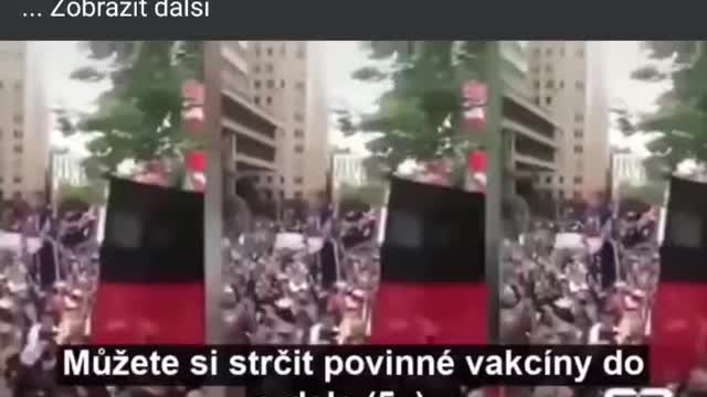 Totalitní formování mas