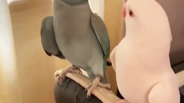 WHAT ARE YOU DOING_!