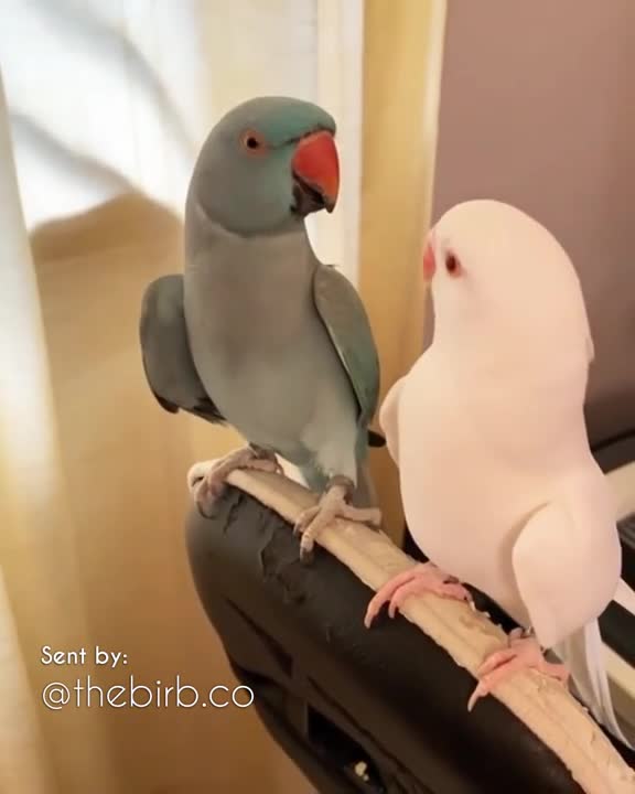 WHAT ARE YOU DOING_!