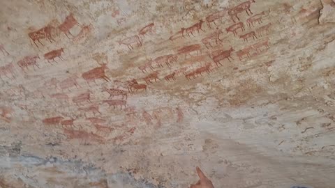 Cattle herd rock art