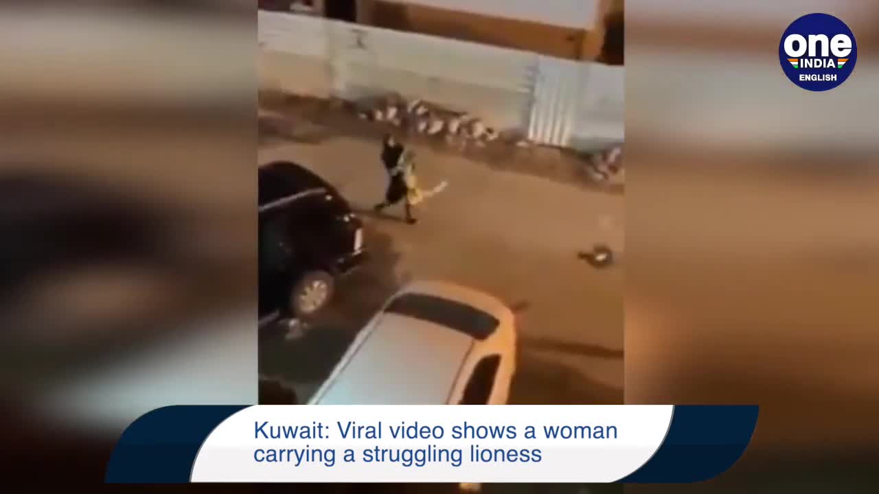 Kuwait Woman spotted carrying struggling lioness in her arms _ Watch viral video