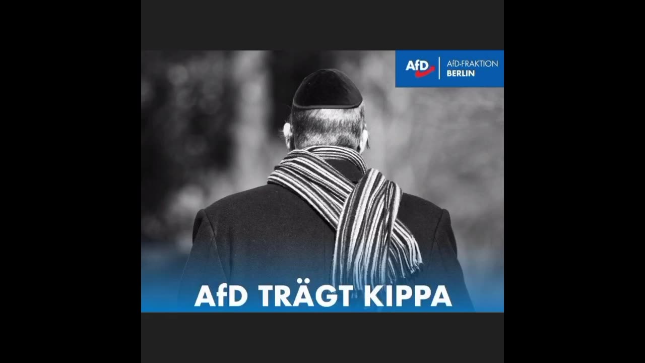 Das dunkle GEHEIMNIS der AfD