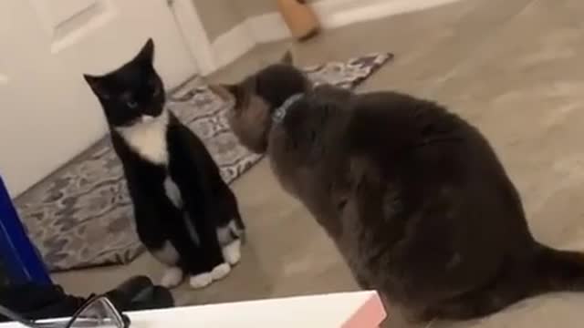 Get ready for battle