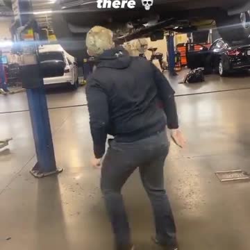 In car is one animal