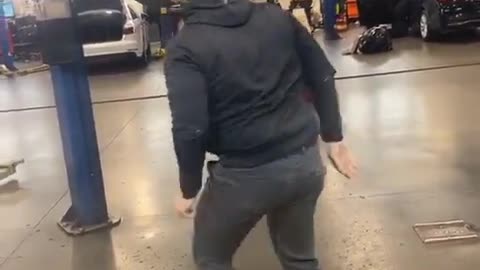 In car is one animal