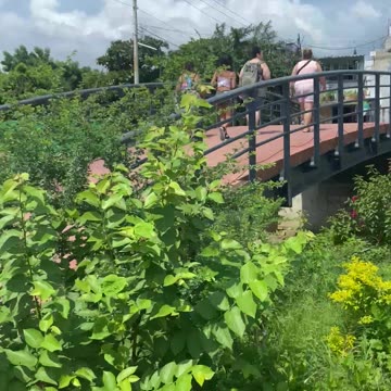 Bucaria Mexico puerto Vallarta