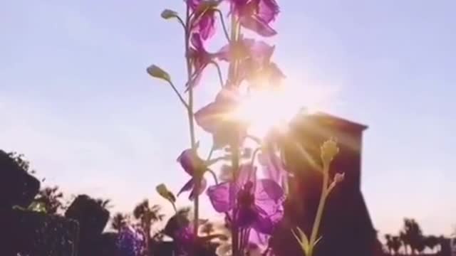 Is Very beautiful