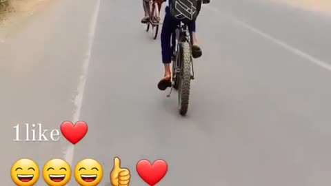 cycle Stunt Funny Video