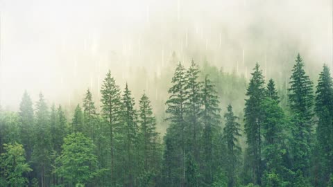 Nature Cinematic Scenic Relaxation Film with Calming Music