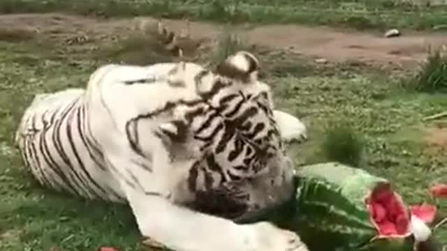 Having A Breakfast with her child.