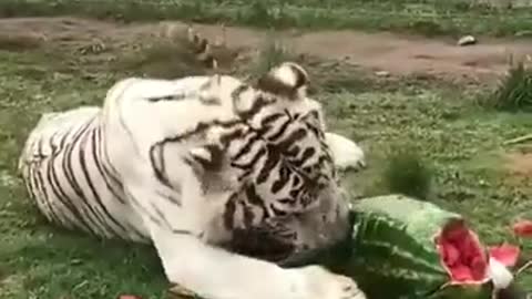 Having A Breakfast with her child.