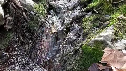 Relaxing Waterfall