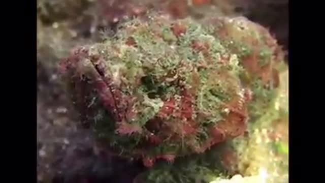 Time with God - July 24