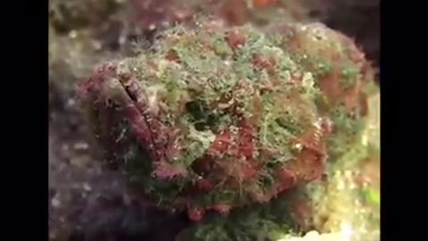 Time with God - July 24