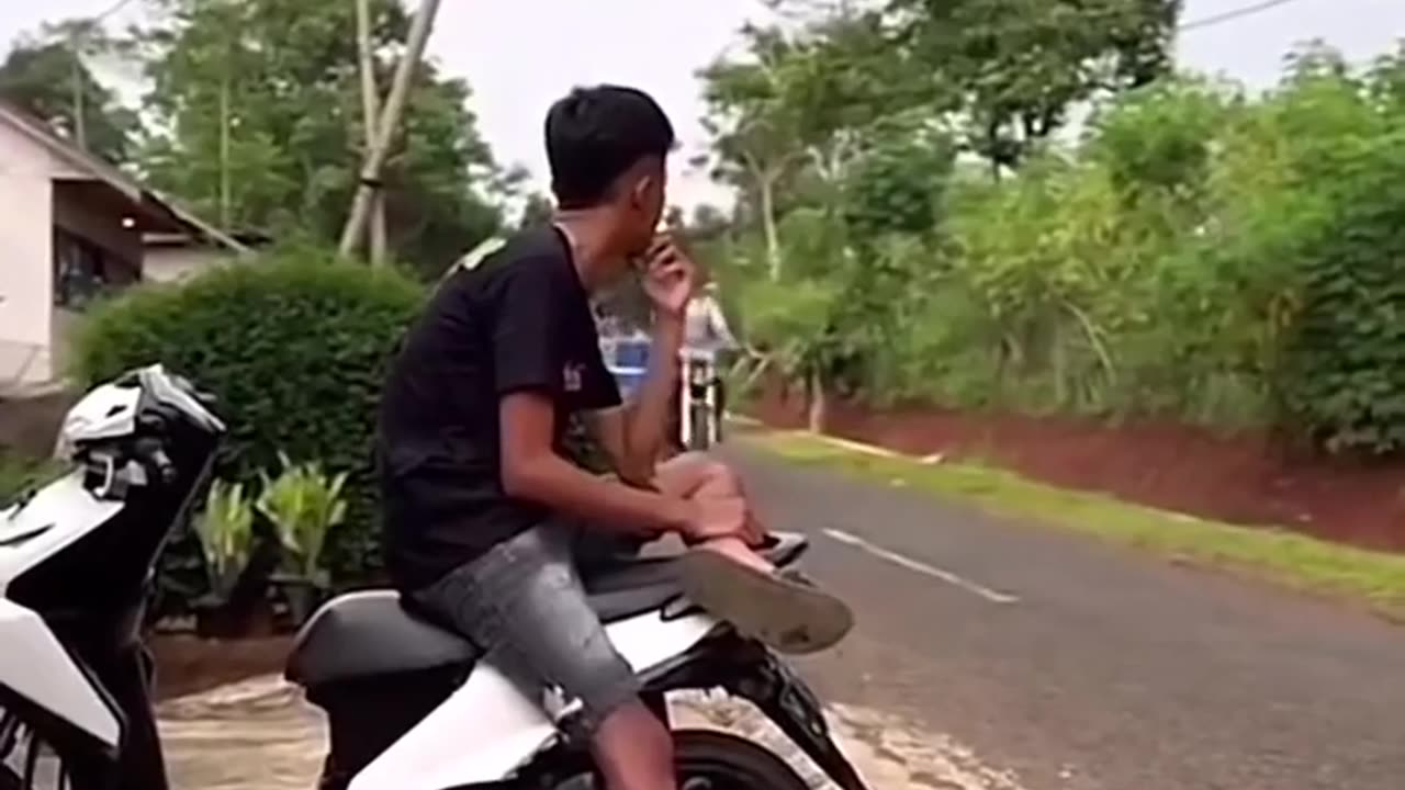 Funniest video 2024