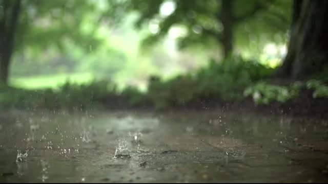 Raindrops_Videvo_x264..