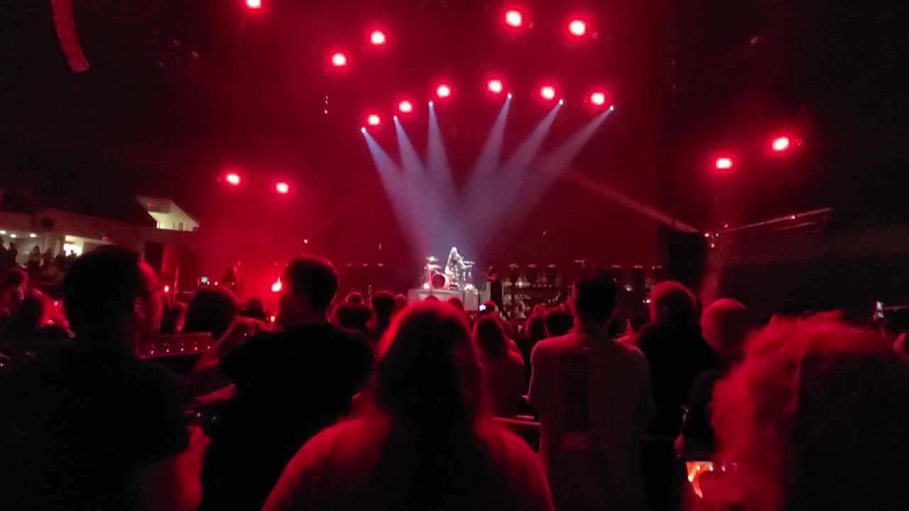 Skillet "Surviving The Game"