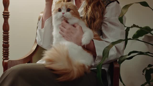 a-woman-having-tea-with-a-cat-on-her-lap
