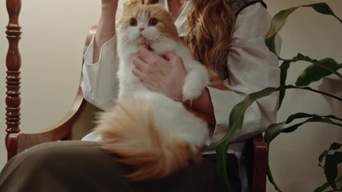 a-woman-having-tea-with-a-cat-on-her-lap