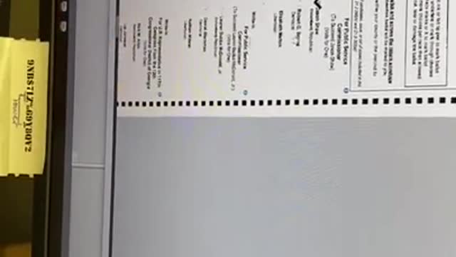 GA election supervisor Misty Martin commits voter fraud