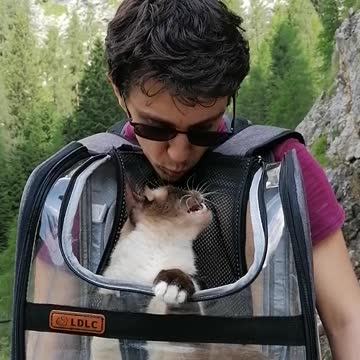 showing some love to my cat