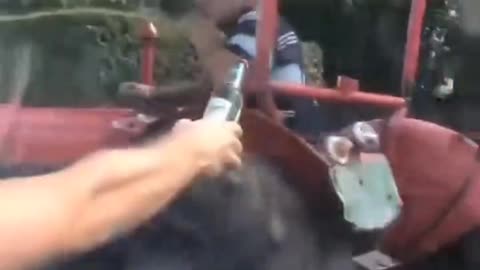 Dudes offering a cold one to a farmer on a hot day