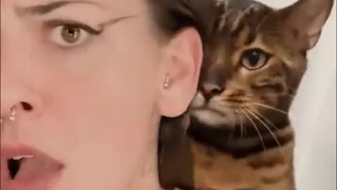 the cat beat his mistress