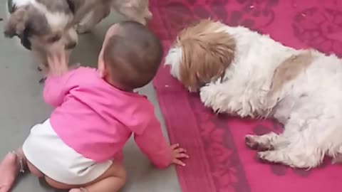 Cute baby and dog