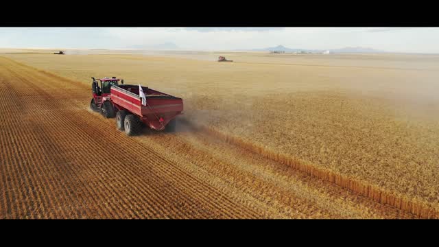 Chasing Combines In A Quadtrac! - Harvest Episode 11