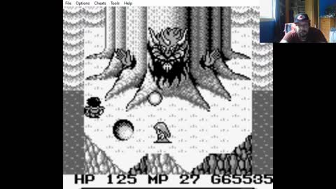 ZuperNEZ Plays Final Fantasy Adventure Finale