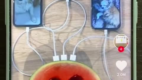 LIFE HACK de la SANDÍA CARGADOR 😱🍉🔌 ¿LO SABÍAS? ⚡ PROBANDO HACKS #Shorts