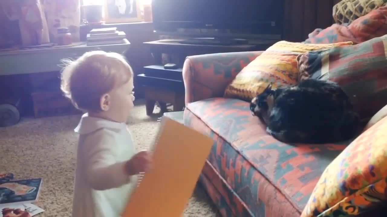 Cute Baby Cats, Baby Kittens, Cute Cats And Kittens, Kittens ...