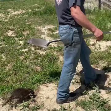 My Best Friend and I