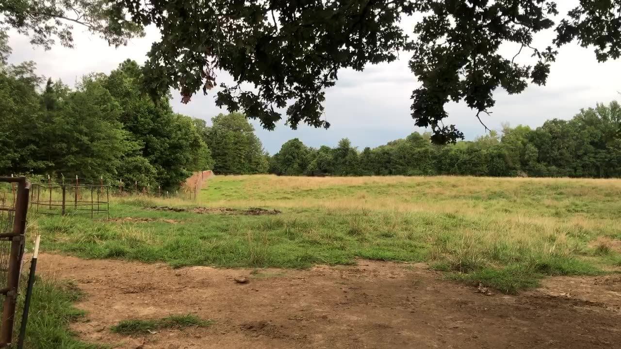Update And Critique