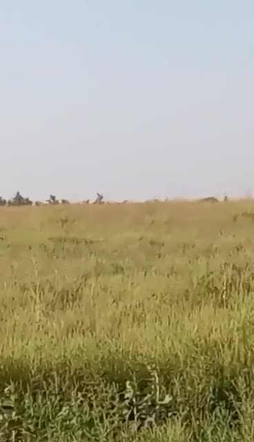 Moment of shot down Ka-52. Loud scream at the end on the video. 😄