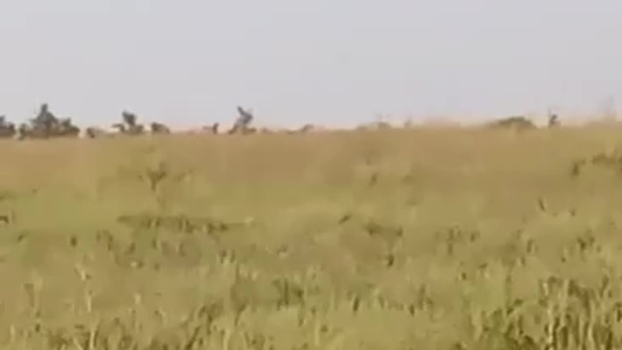 Moment of shot down Ka-52. Loud scream at the end on the video. 😄